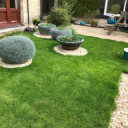 Techniques de taille pour maintenir un jardin esthétique et en bonne santé Montelimar